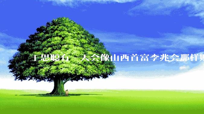 王思聪有一天会像山西首富李兆会那样败光家产吗？