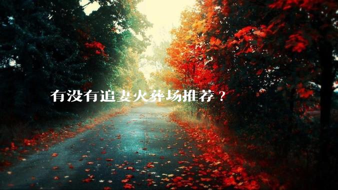 有没有追妻火葬场推荐?