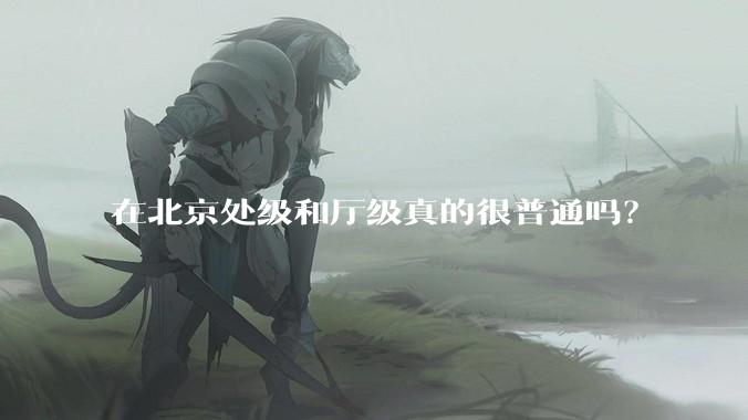 在北京处级和厅级真的很普通吗？