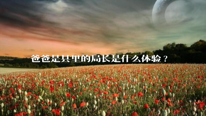 爸爸是县里的局长是什么体验?